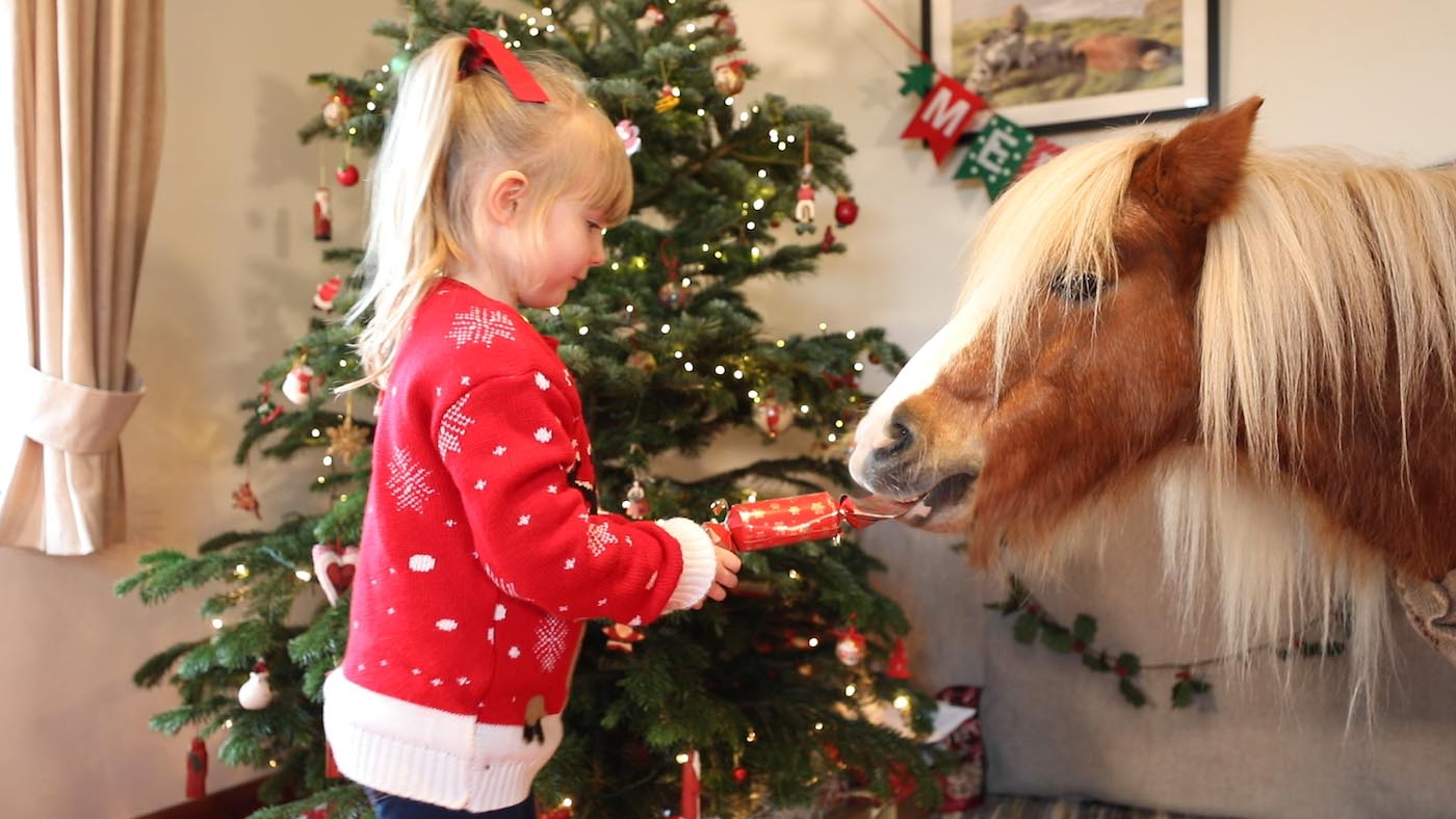 Together for Christmas